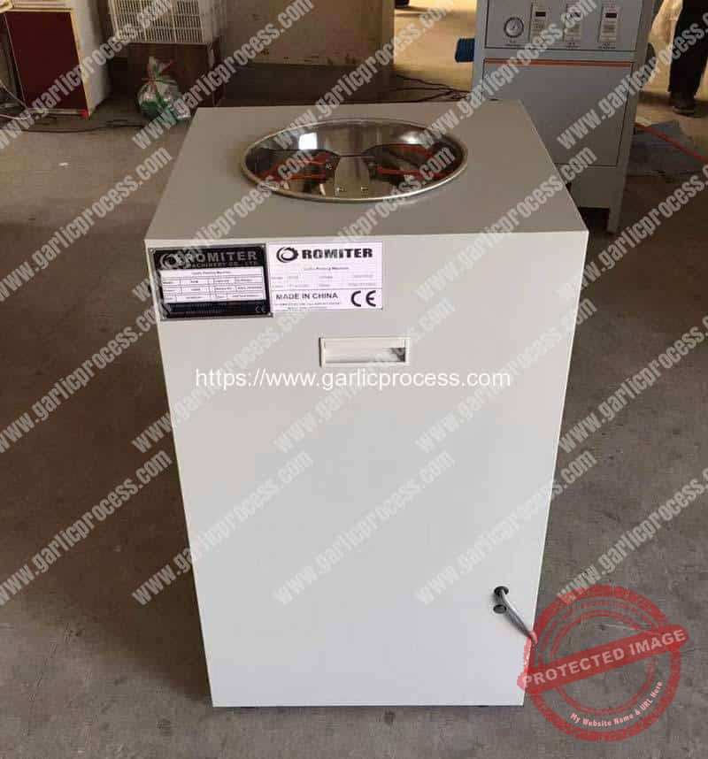 30kg-Garlic-Peeling-Machine-for-Portugal